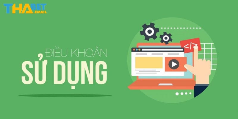 Điều khoản sử dụng Thabet là gì?